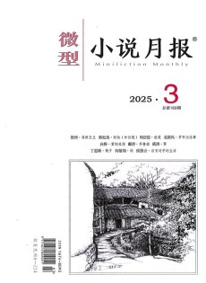 微型小說(shuō)月報(bào)雜志